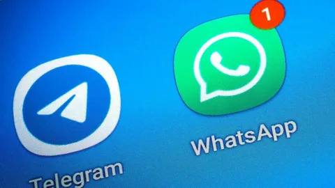 VPN и белые списки в России — Есть ли свободный интернет в 2025 году